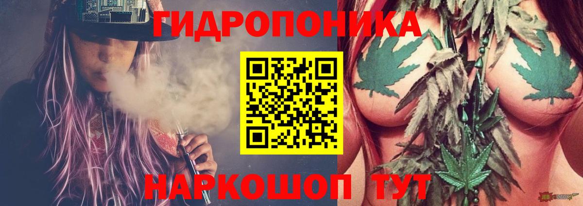 Бошки Шишки SATIVA & INDICA  Канабис конопля  Вход с VPN  Югорск 